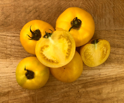 Tomates anciennes Lemon Boy BIO